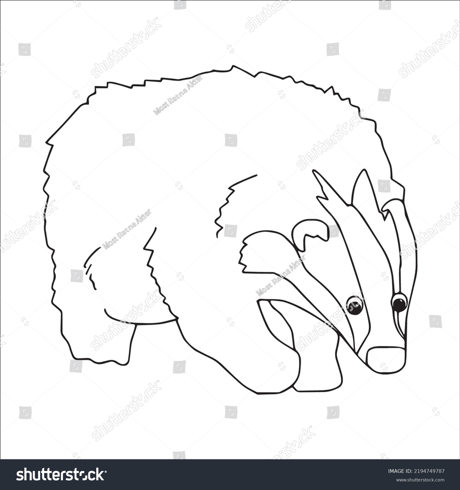 Beautiful Badger Line Art Imagesoutline Drawingvector Stock Vector ...