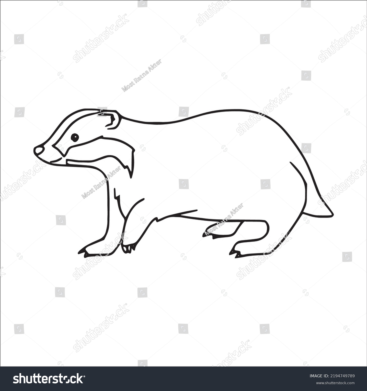 Beautiful Badger Line Art Imagesoutline Drawingvector Stock Vector ...