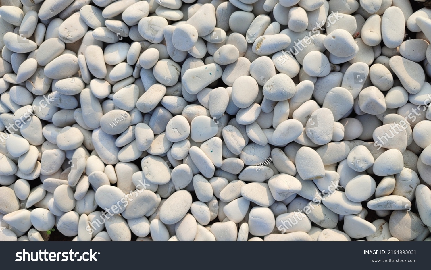 White Pebbles Stone Texture Background Stock Photo 2194993831 ...