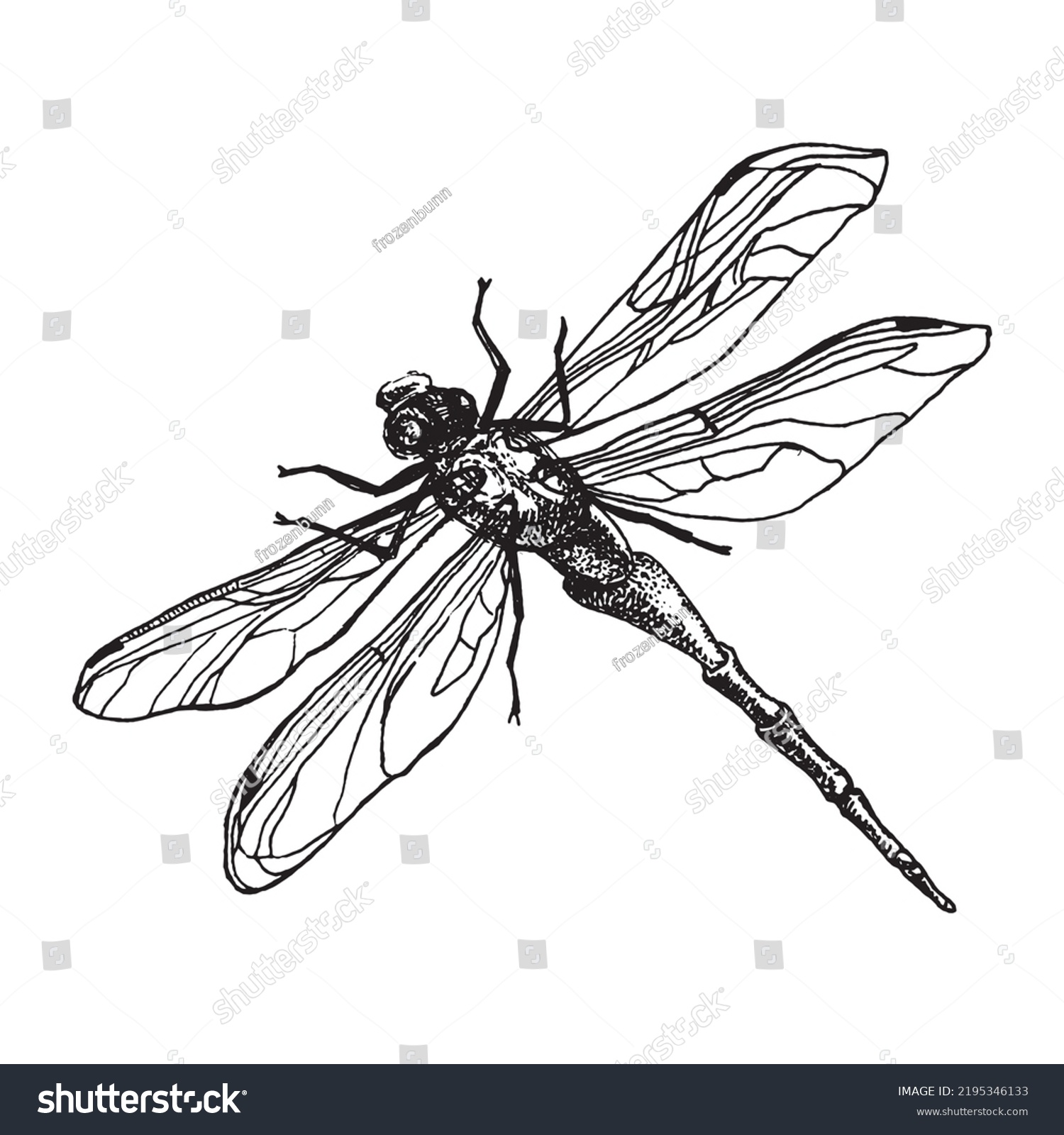 Hand Drawn Doodle Sketch Dragonfly Isolated Stock Vector (Royalty Free ...