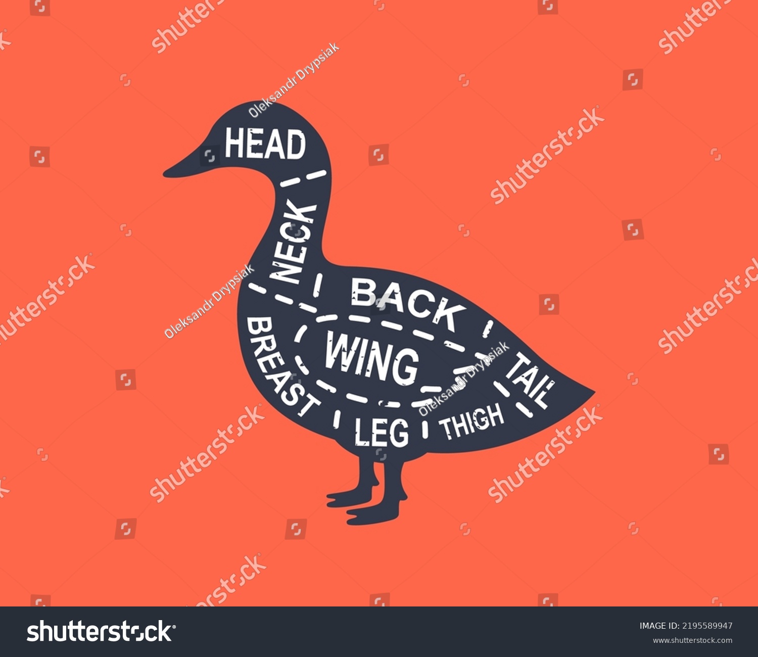 Duck Diagram Cuts Butcher Scheme Poster Stock Vector (Royalty Free ...