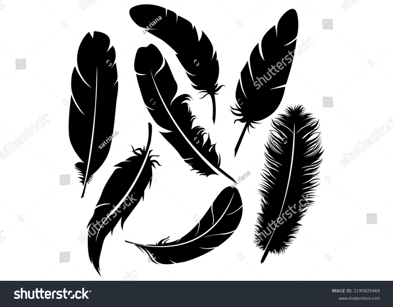 Feathers Icons Black Silhouette Isolated On Stock Illustration ...