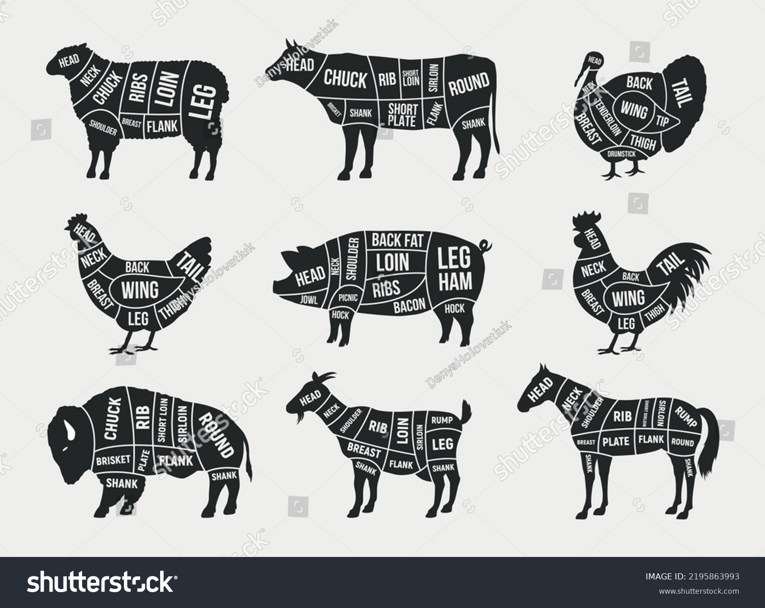 Butcher Diagram Scheme Set Mutton Lamb Stock Vector (Royalty Free ...