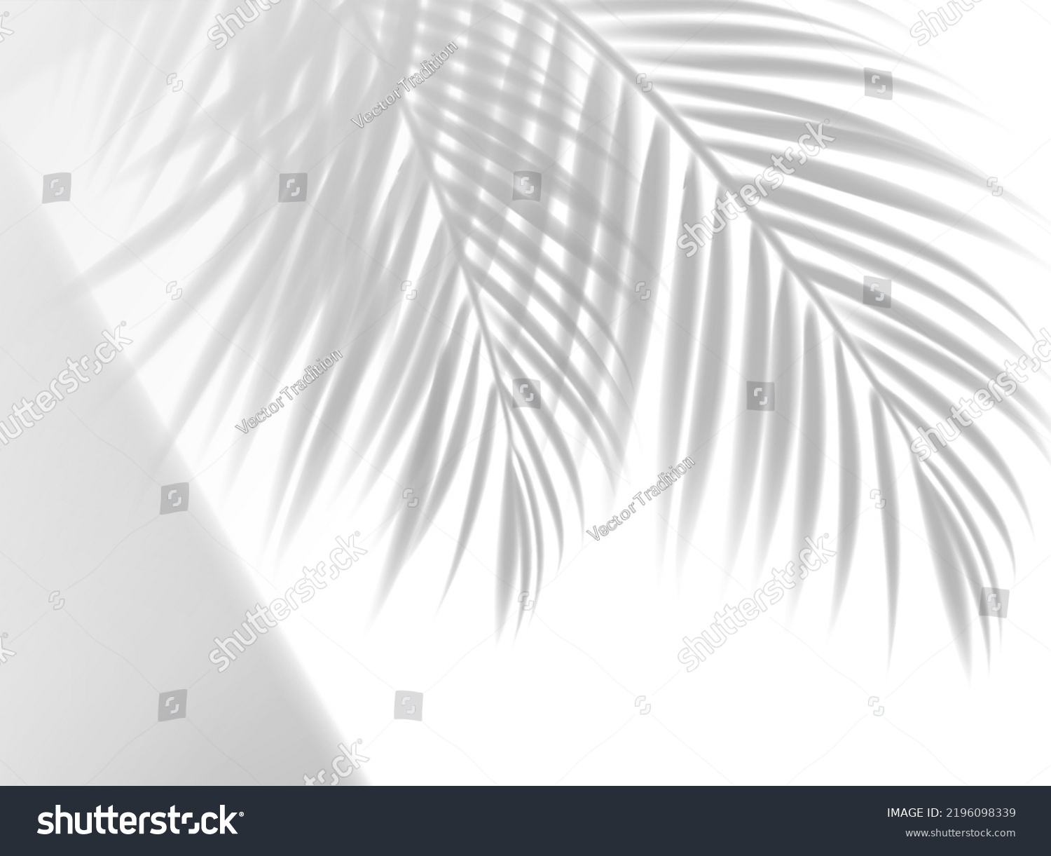 Palm Leaves Shadow Background Overlay Effect Stock Vector (Royalty Free ...