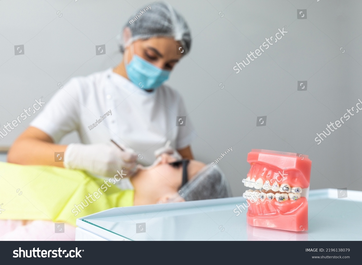 Orthodontic Model Dentist Tool Teeth Model Stock Photo 2196138079 ...