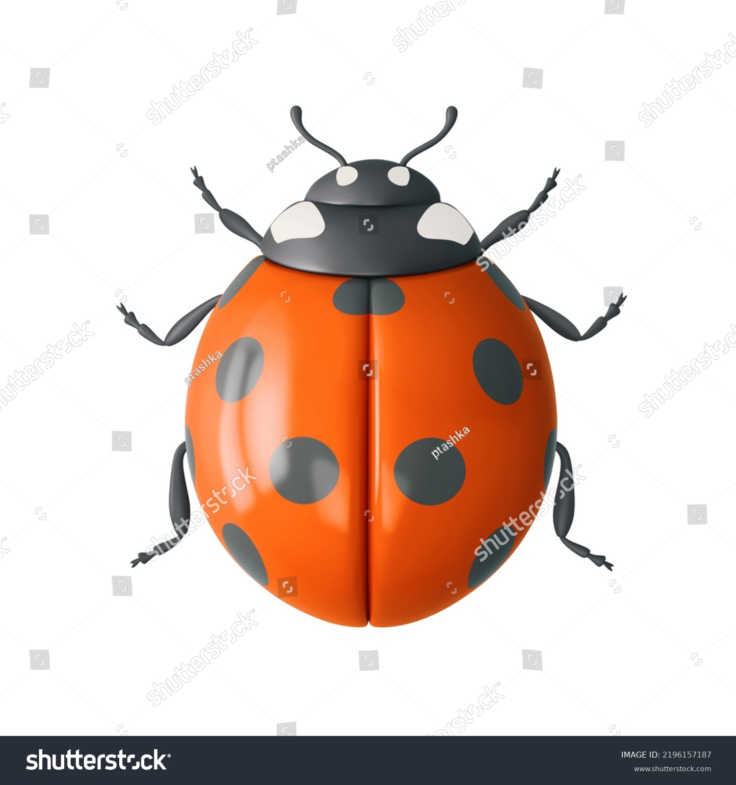 Orange Ladybug Isolated On White Background Stock Illustration