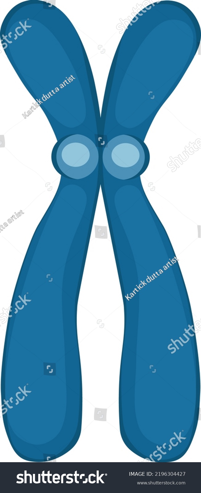 Simple Submetacentric Chromosome Vector Illustration Stock Vector ...