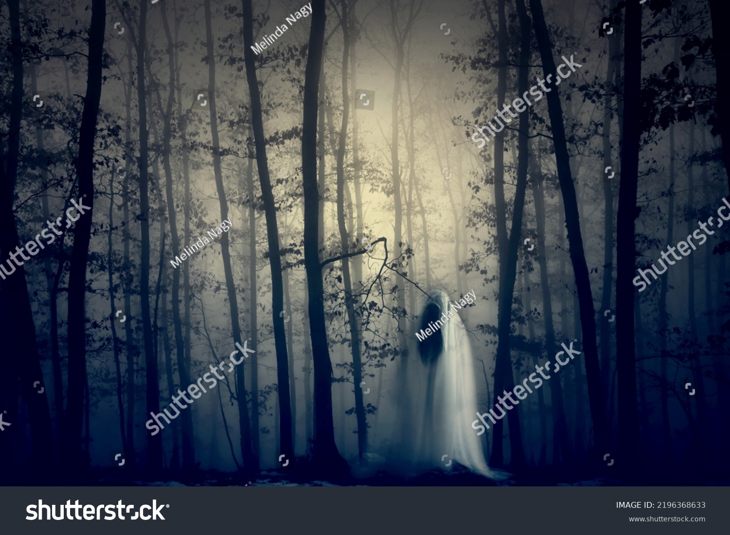 Horror Background Ghostly Figure Enchanted Forest Stock Photo