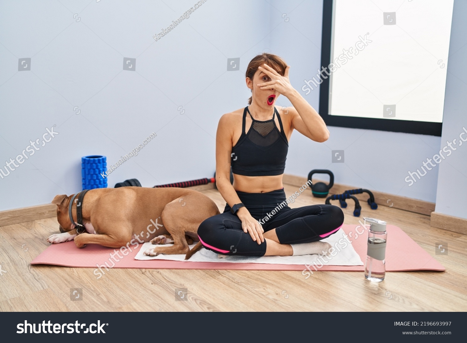 4,243 Dog covering eyes Stock Photos, Images & Photography | Shutterstock