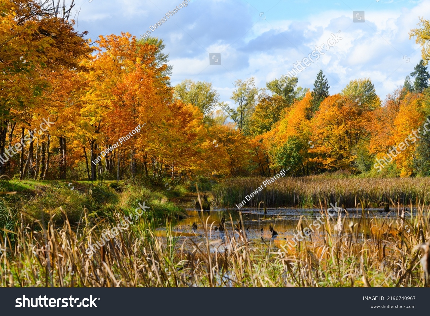 6,579 Rich Trail Images, Stock Photos & Vectors | Shutterstock