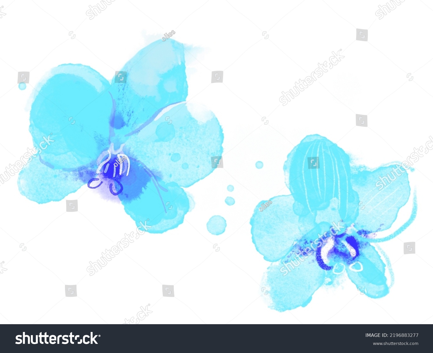 Two Orchids Watercolor Illustration Flower Background Stock ...