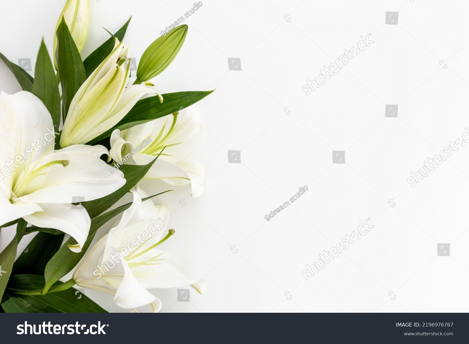 White Liles Flowers Leaves Floral Background Stock Photo 2196976767 ...