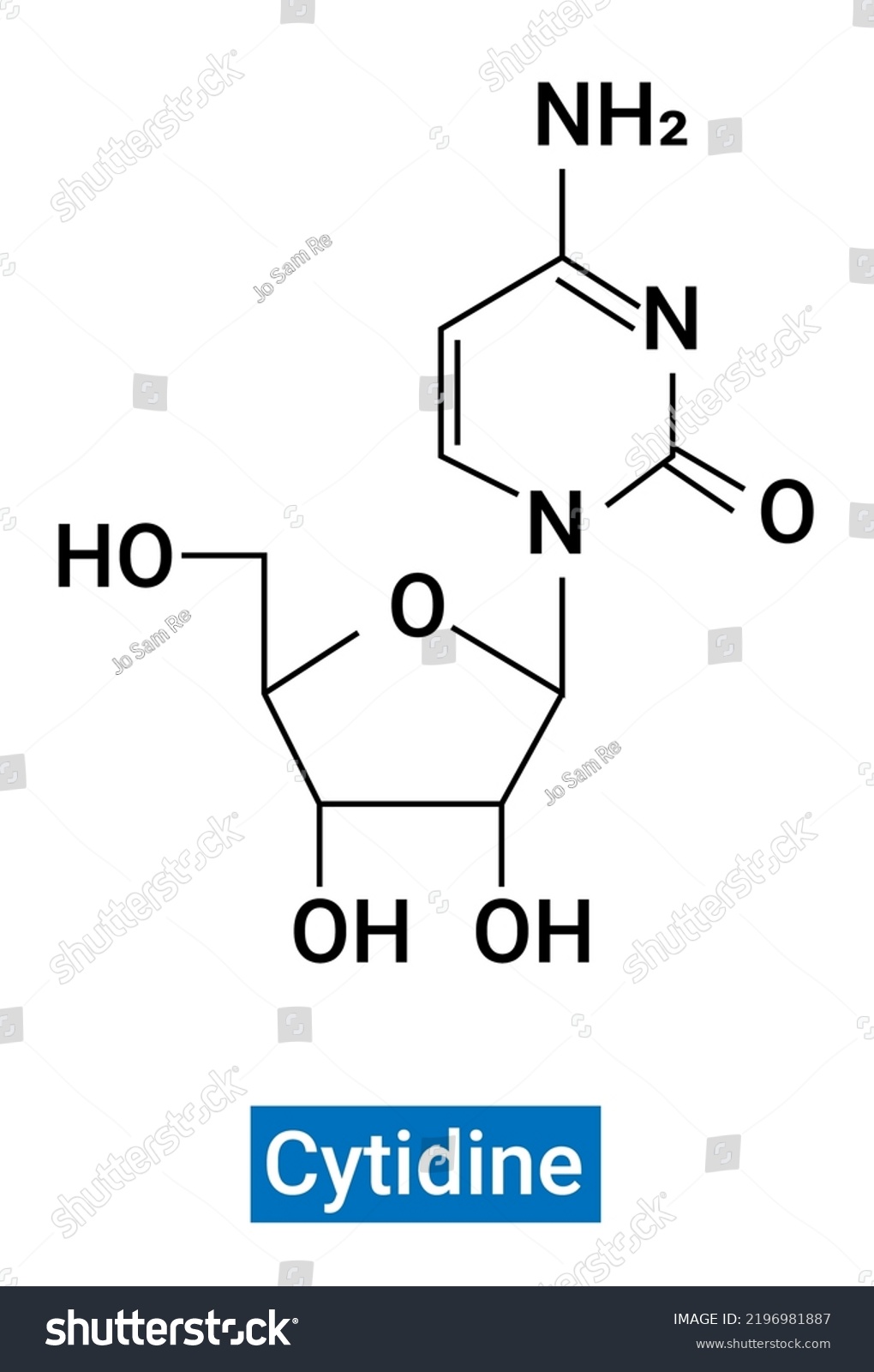 Cytidine Symbol C Cyd Nucleoside Molecule Stock Vector (Royalty Free ...