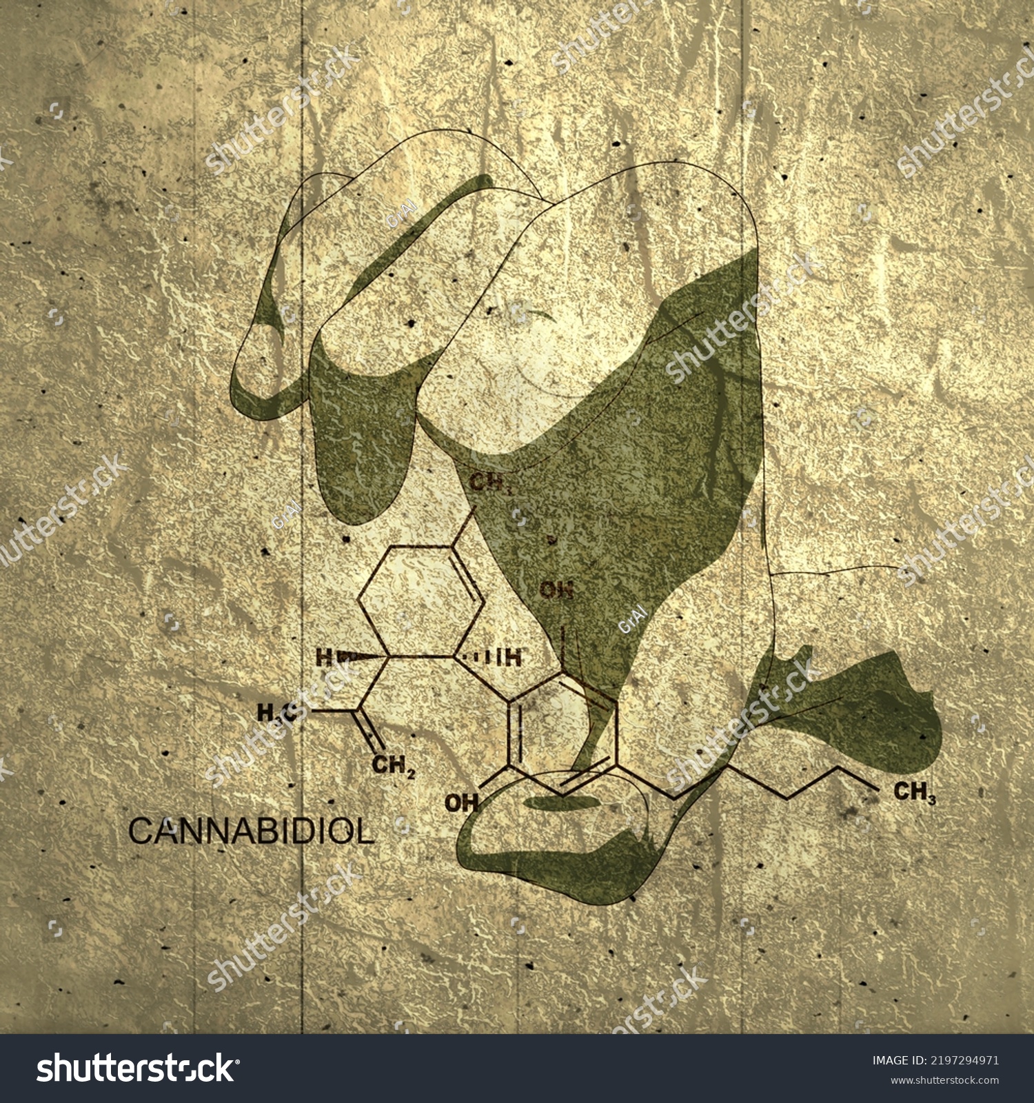 Hand Holding Chemical Molecular Formula Cannabidiol Stock Illustration