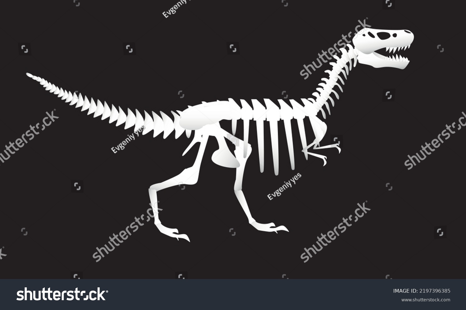 Dinosaur Skeleton Isolated On Black Background Stock Vector (Royalty ...