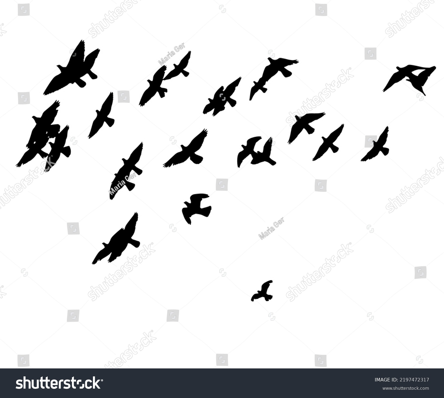 Flying Birds Silhouette White Background Vector Stock Vector Royalty