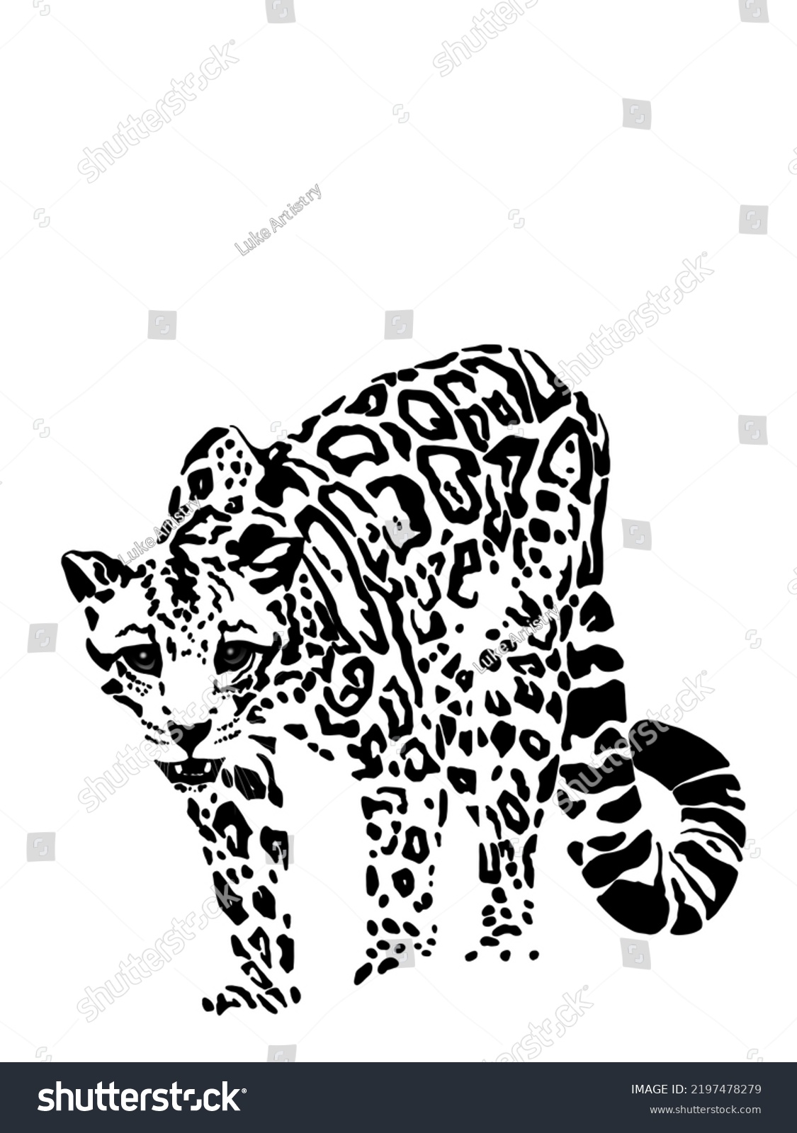 Clouded Leopard Drawing Print Illustration Stock Illustration ...