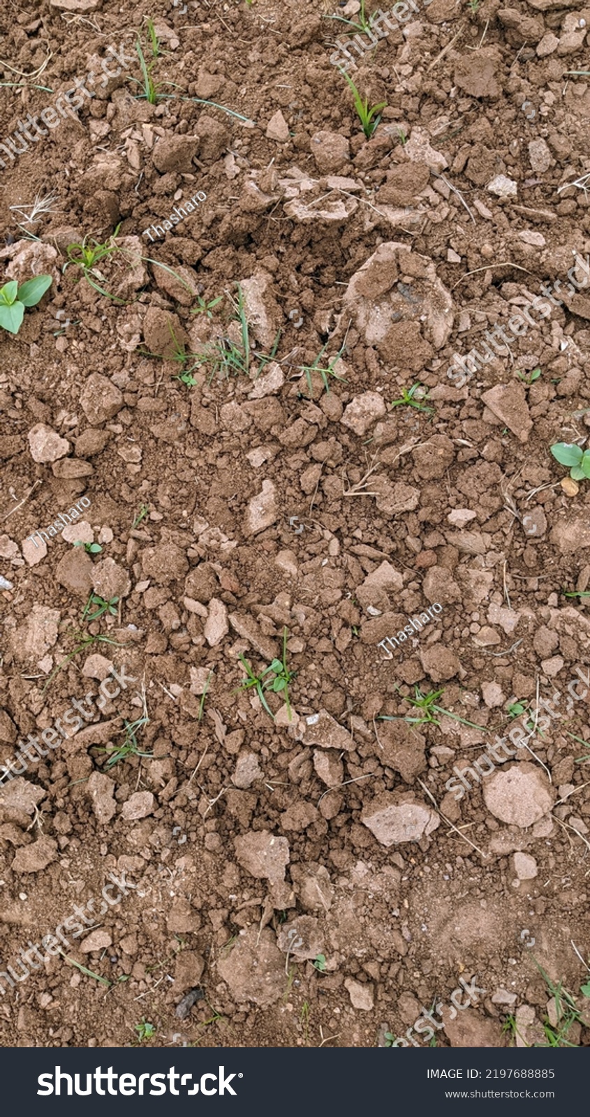 Ploughed Surface Soil Farm Fields Stock Photo 2197688885 | Shutterstock