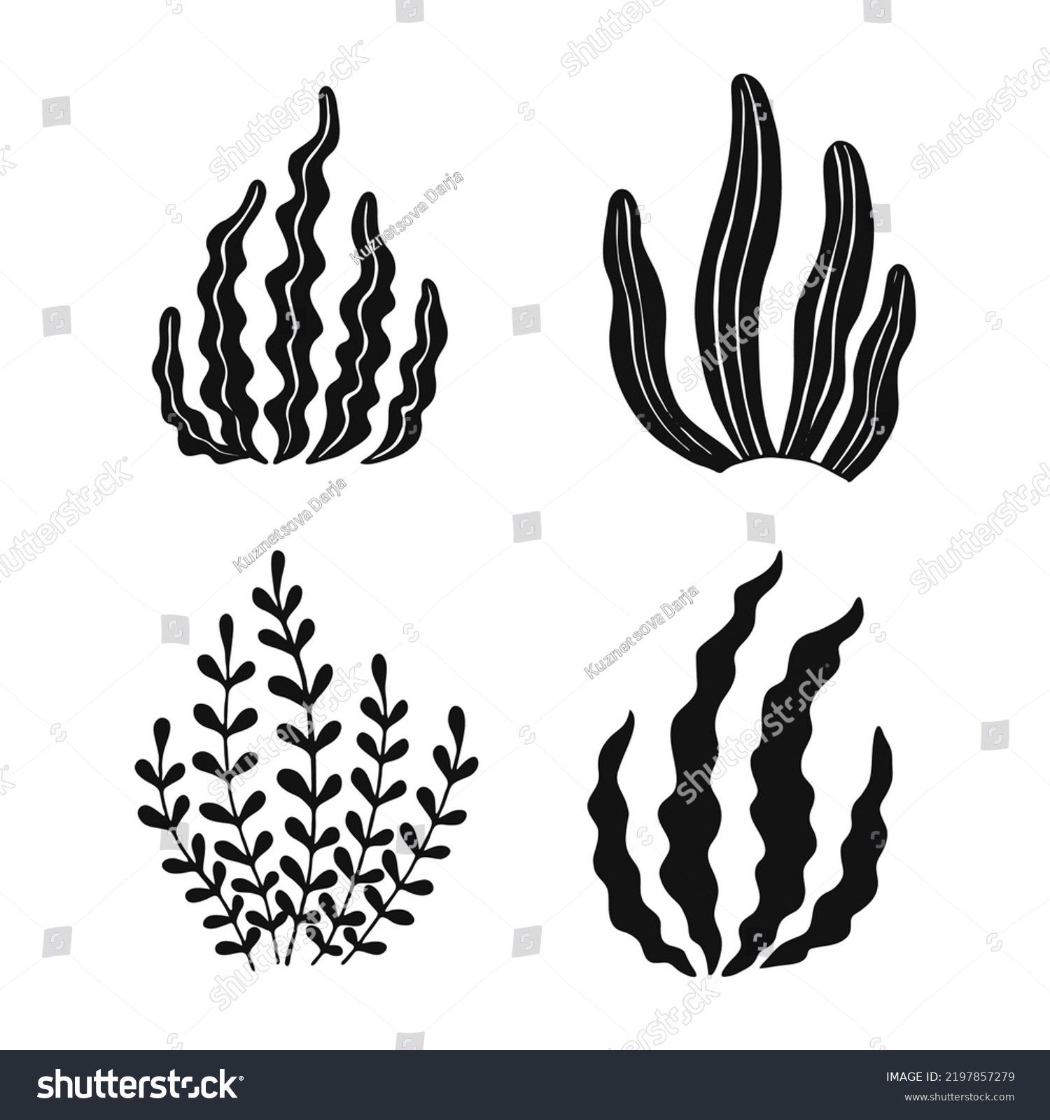 Set Seaweed Marine Plants Isolated Hand Stock Vector (Royalty Free ...