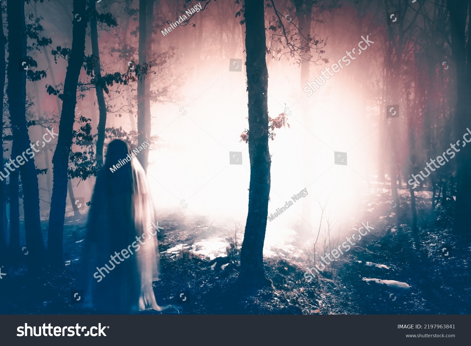 Horror Background Ghostly Figure Enchanted Forest Stock Photo