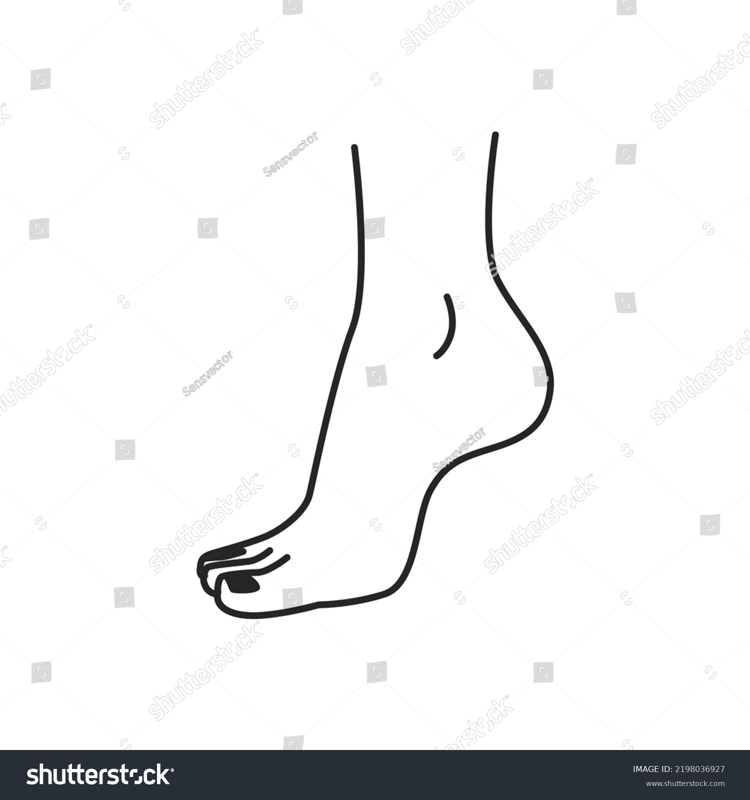Barefoot Woman Ankle Elegant Feminine Foot Stock Vector Royalty Free
