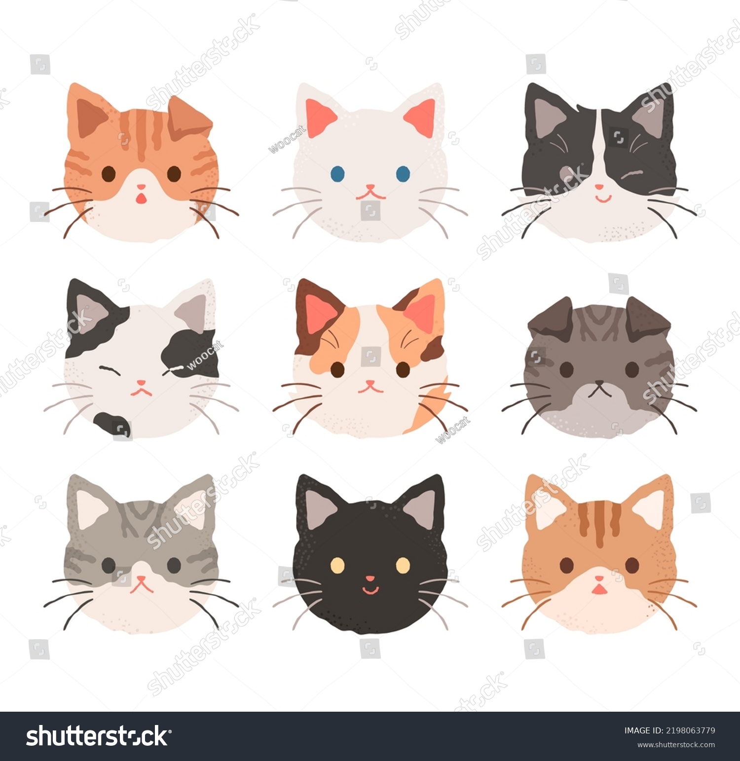 Cat Faces Different Patterns Appearances Fur Stock Vector (Royalty Free ...