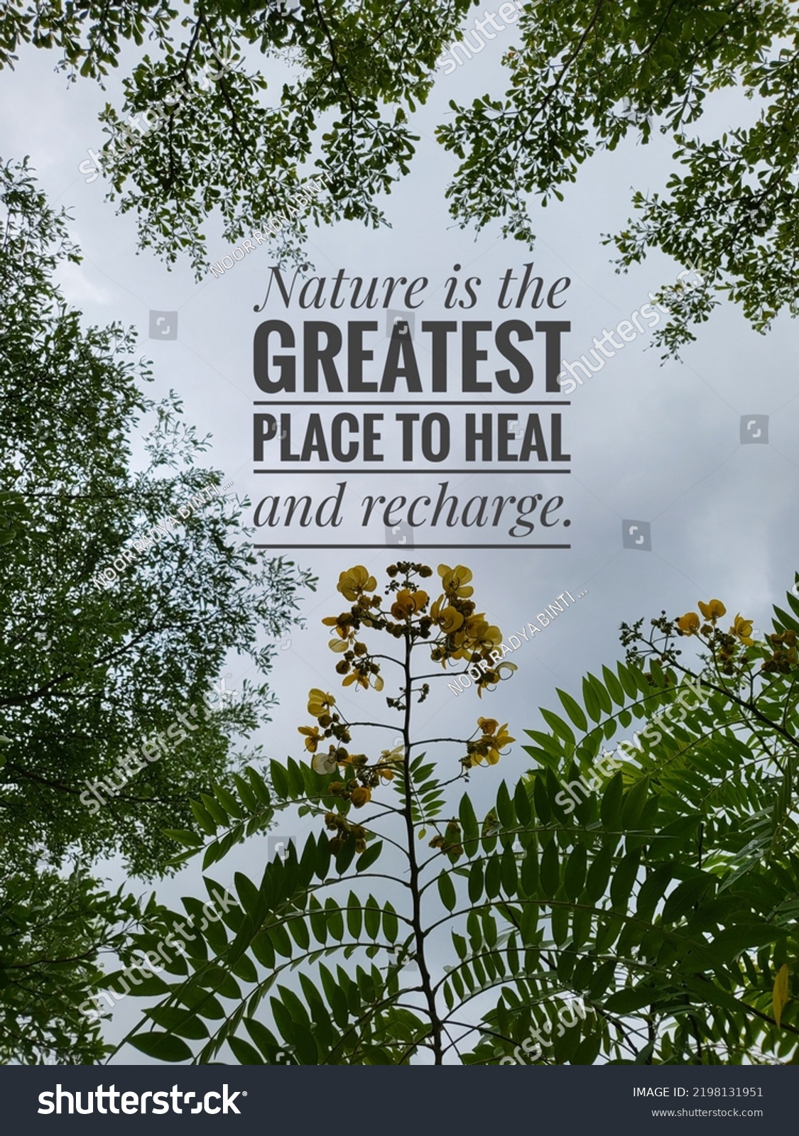 inspirational-quotes-nature-greatest-place-heal-stock-photo-2198131951