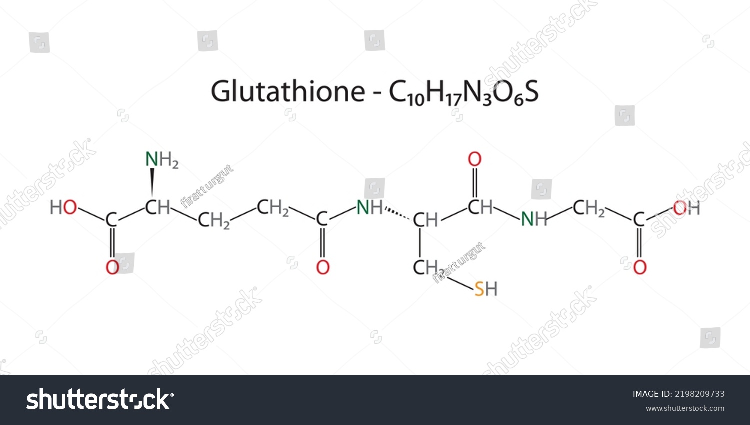 Molecular Structure Chemical Formula Glutathione Stock Vector Royalty Free 2198209733 6813