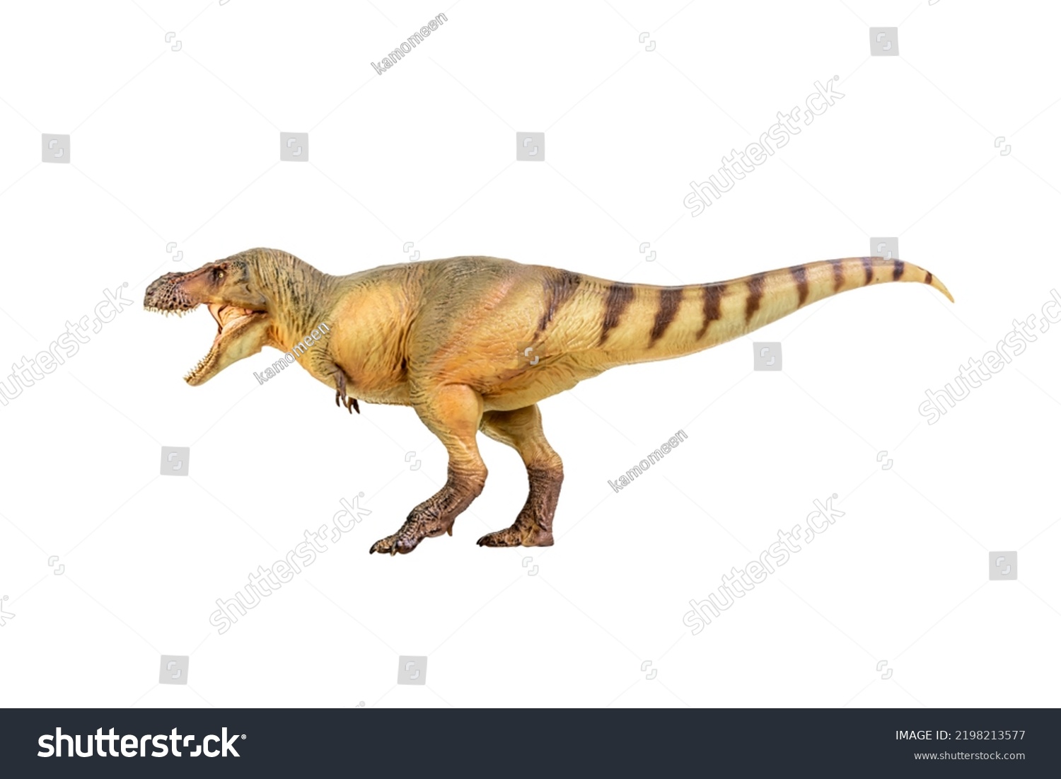 Tyrannosaurus Rex Dinosaur On White Isolate Stock Photo 2198213577 ...