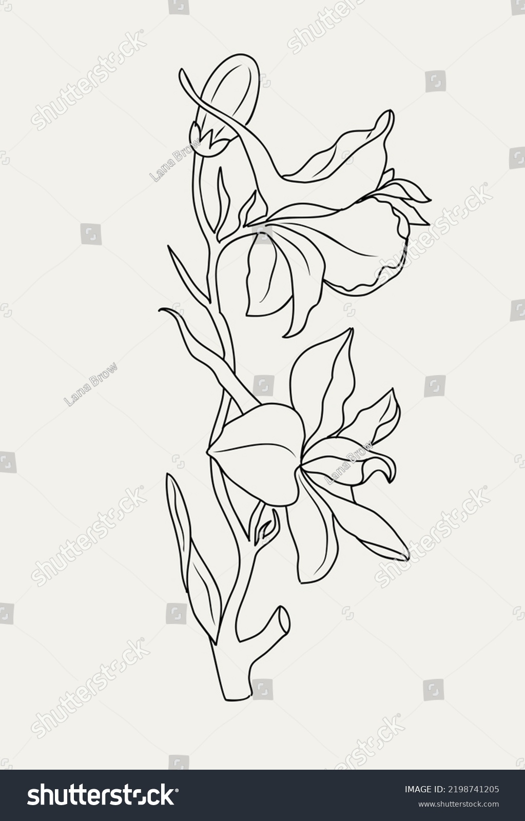 July Birth Month Flower Larkspur Line Stock Vector (Royalty Free ...