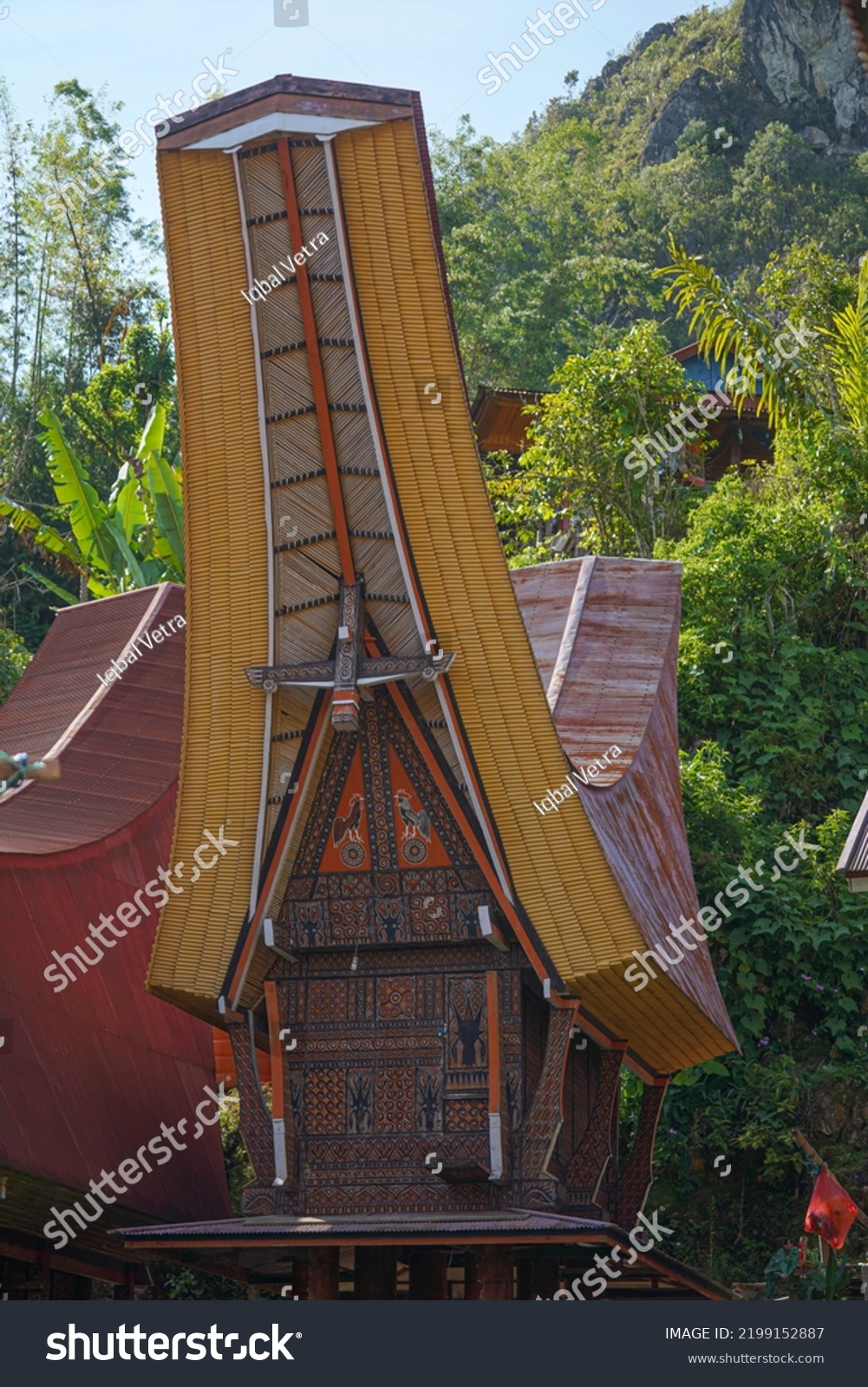 Tongkonan Traditional House Tana Toraja Tongkonan Stock Photo ...