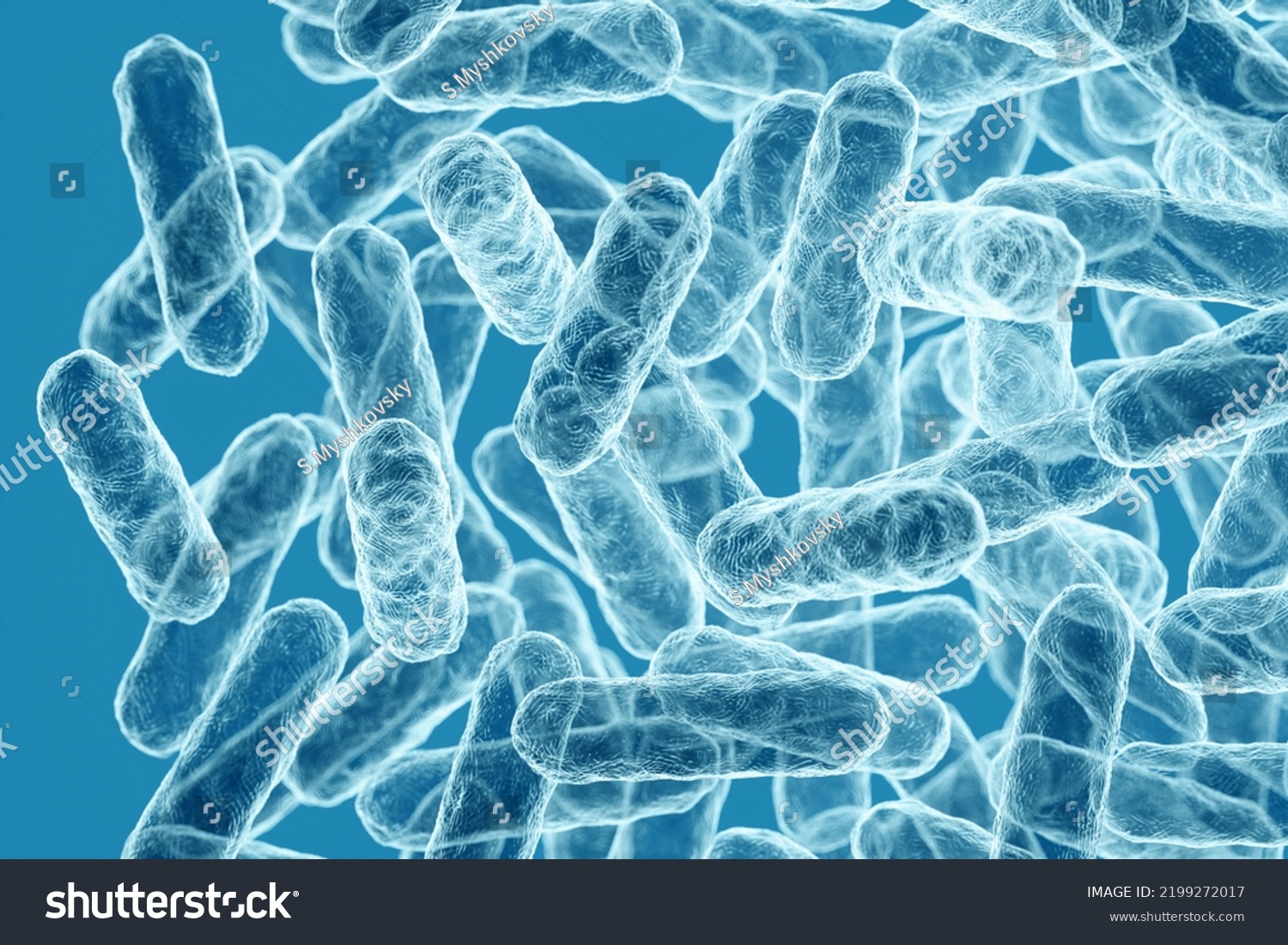 enterobacteriaceae-gramnegative-rodshaped-bacteria-part-intestinal