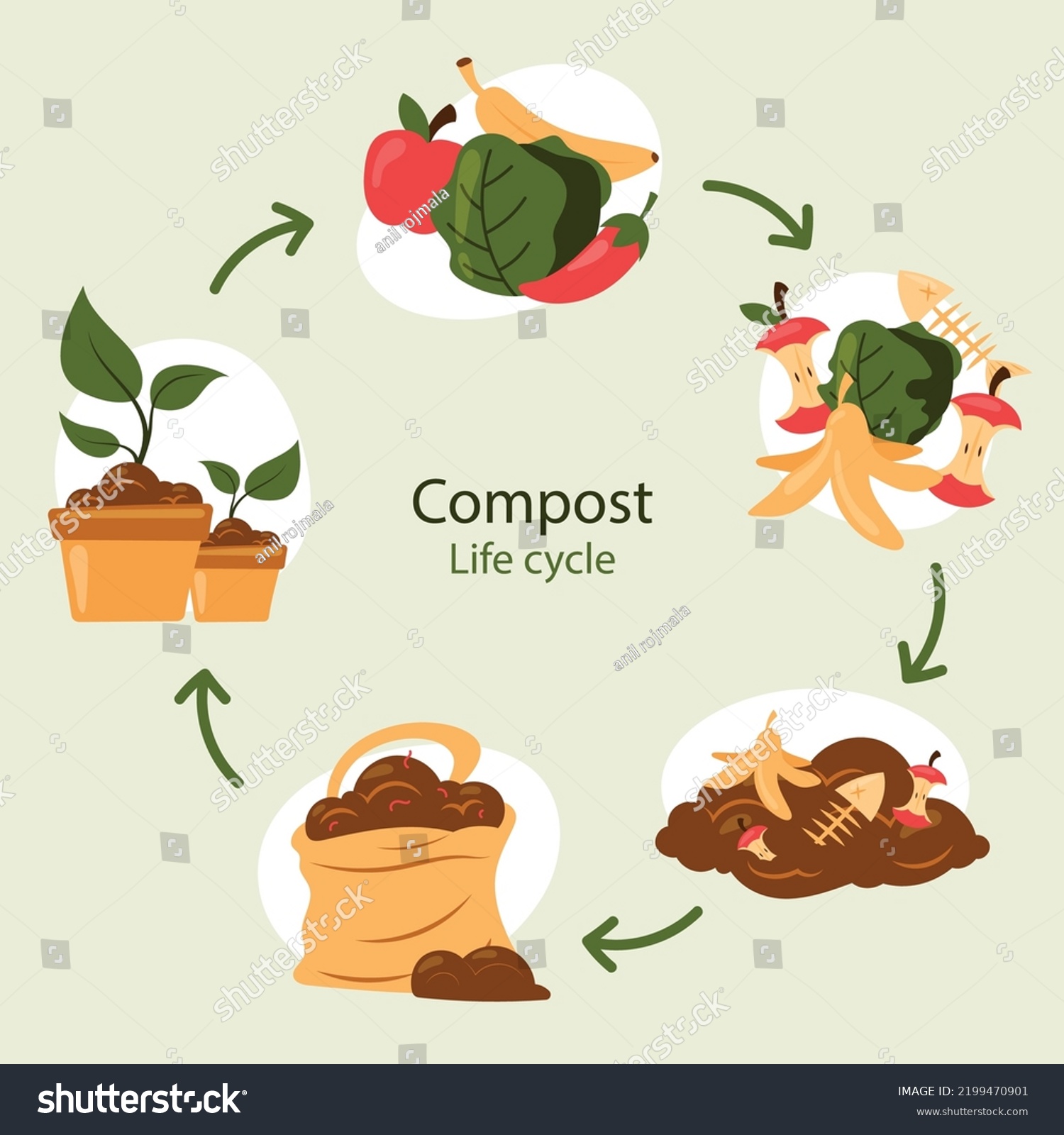 Compost Cycle Concept Compost Bin Organic Stock Vector (Royalty Free ...