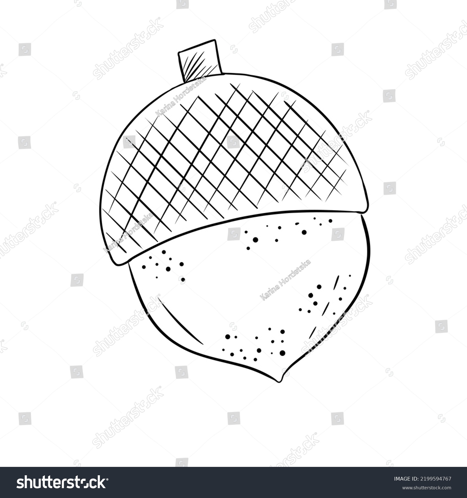 Sketch Acorn Doodle Style Stock Illustration 2199594767 | Shutterstock