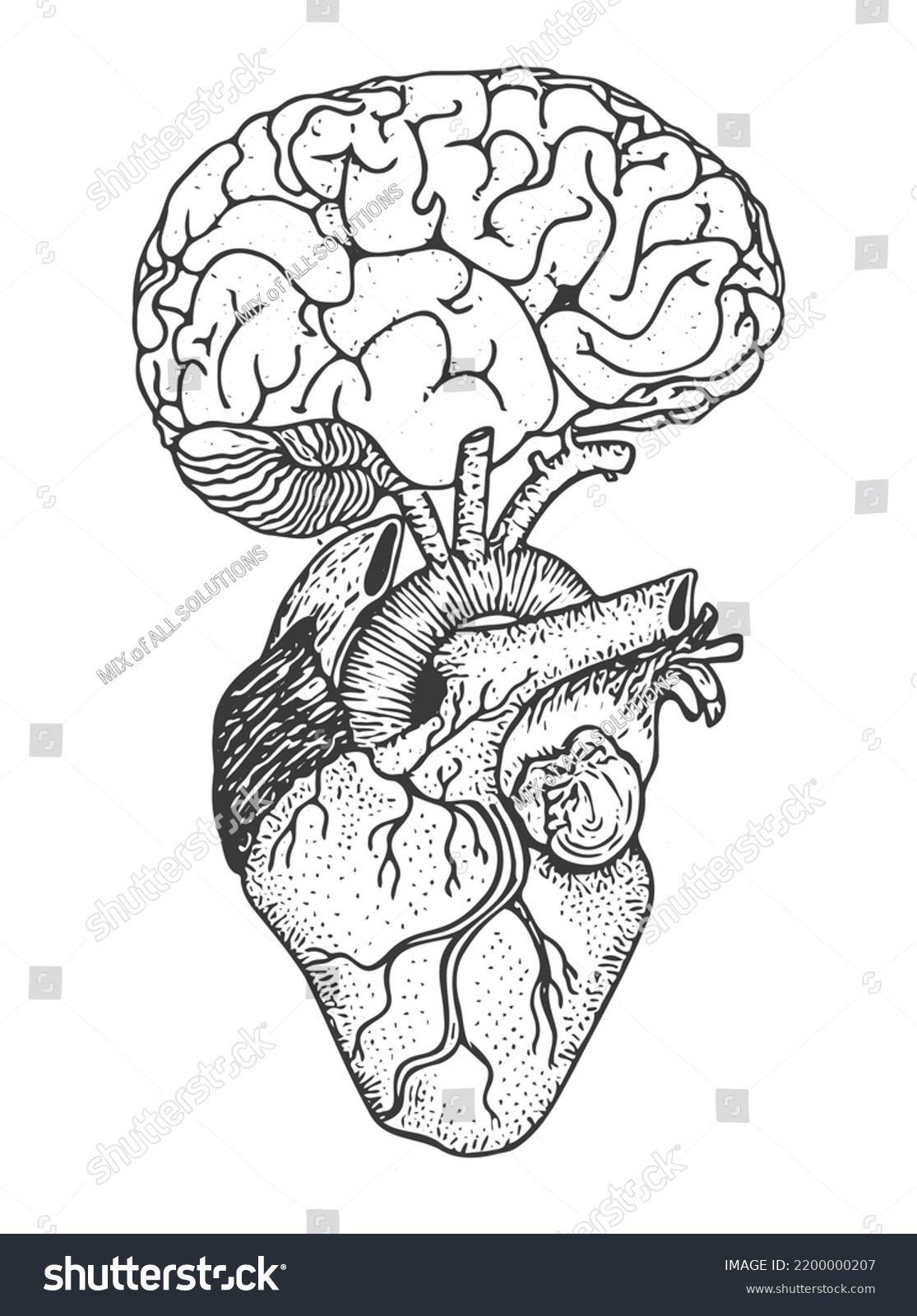 Conceptual Image Brain Heart Connected Together Stock Vector (Royalty ...