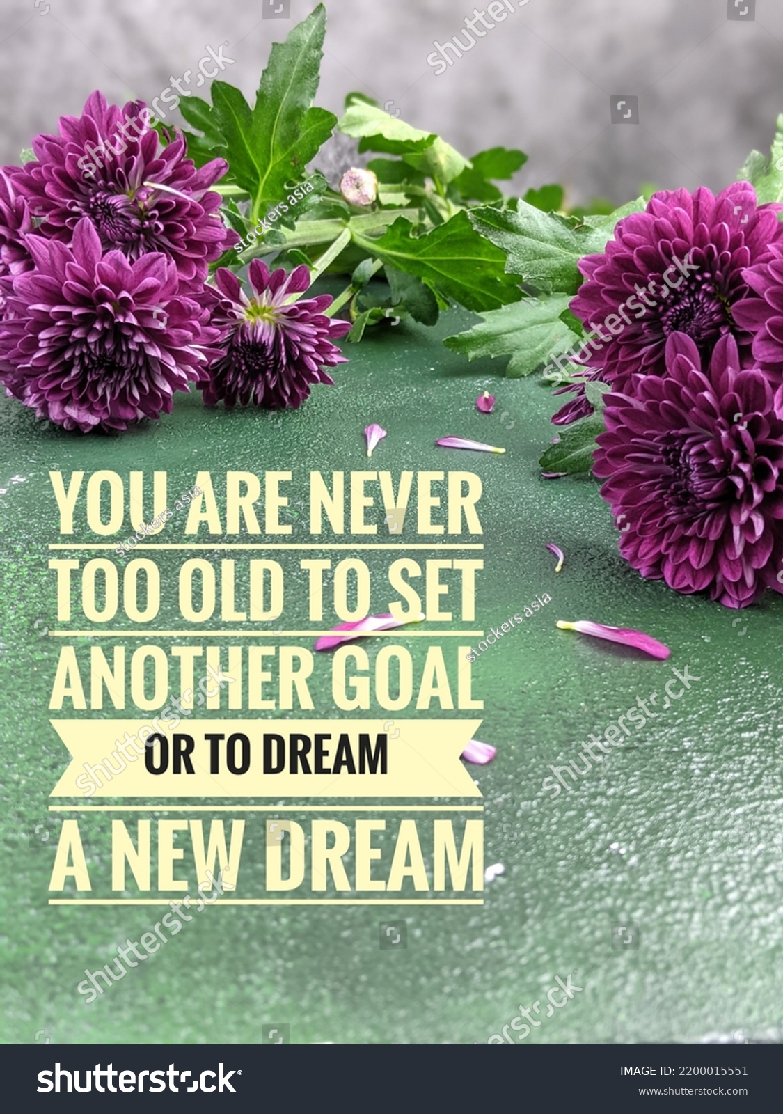 quote-about-you-never-old-set-stock-photo-2200015551-shutterstock