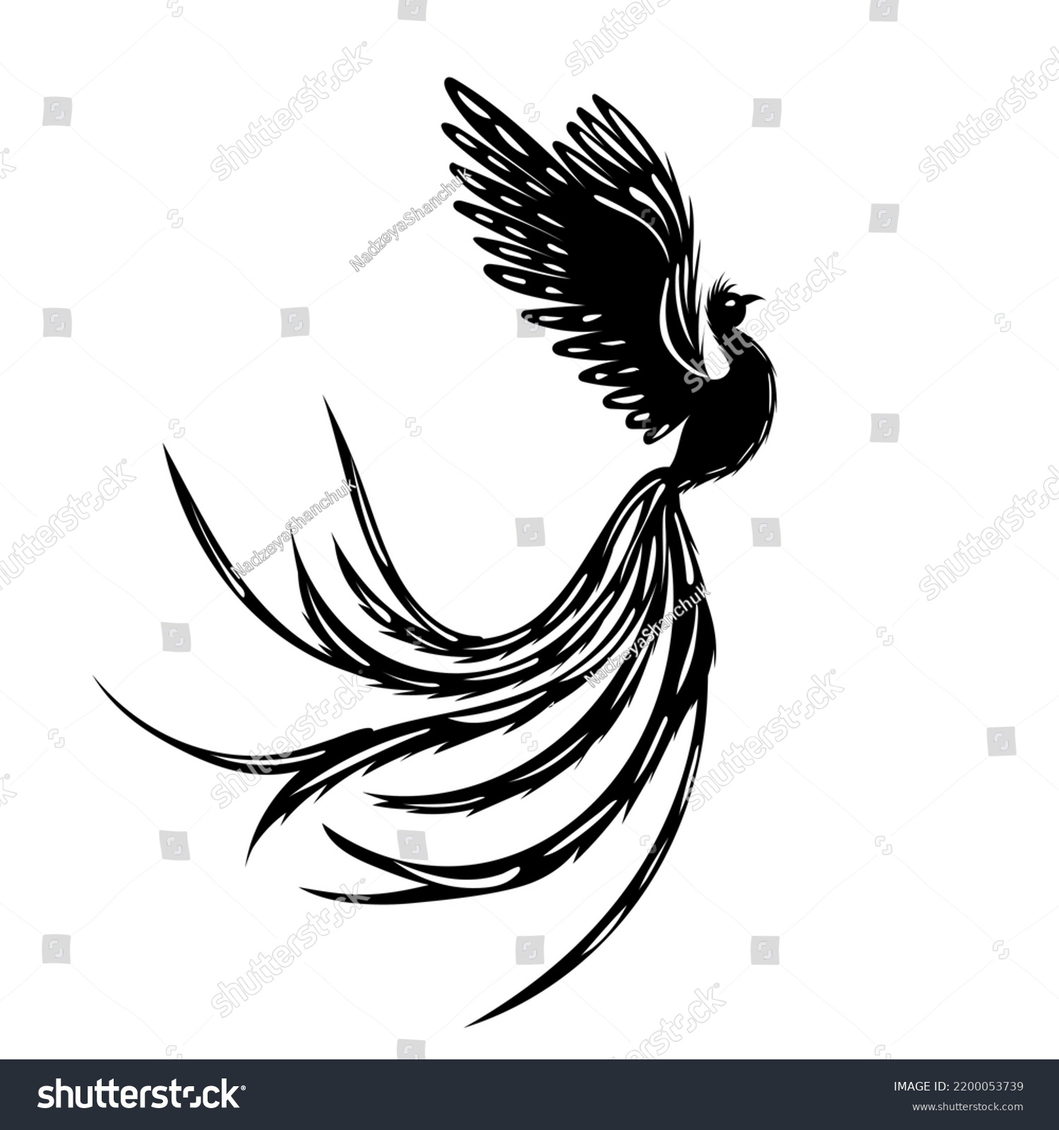 Silhouette Black Phoenix Bird Isolated Vector Stock Vector (Royalty ...