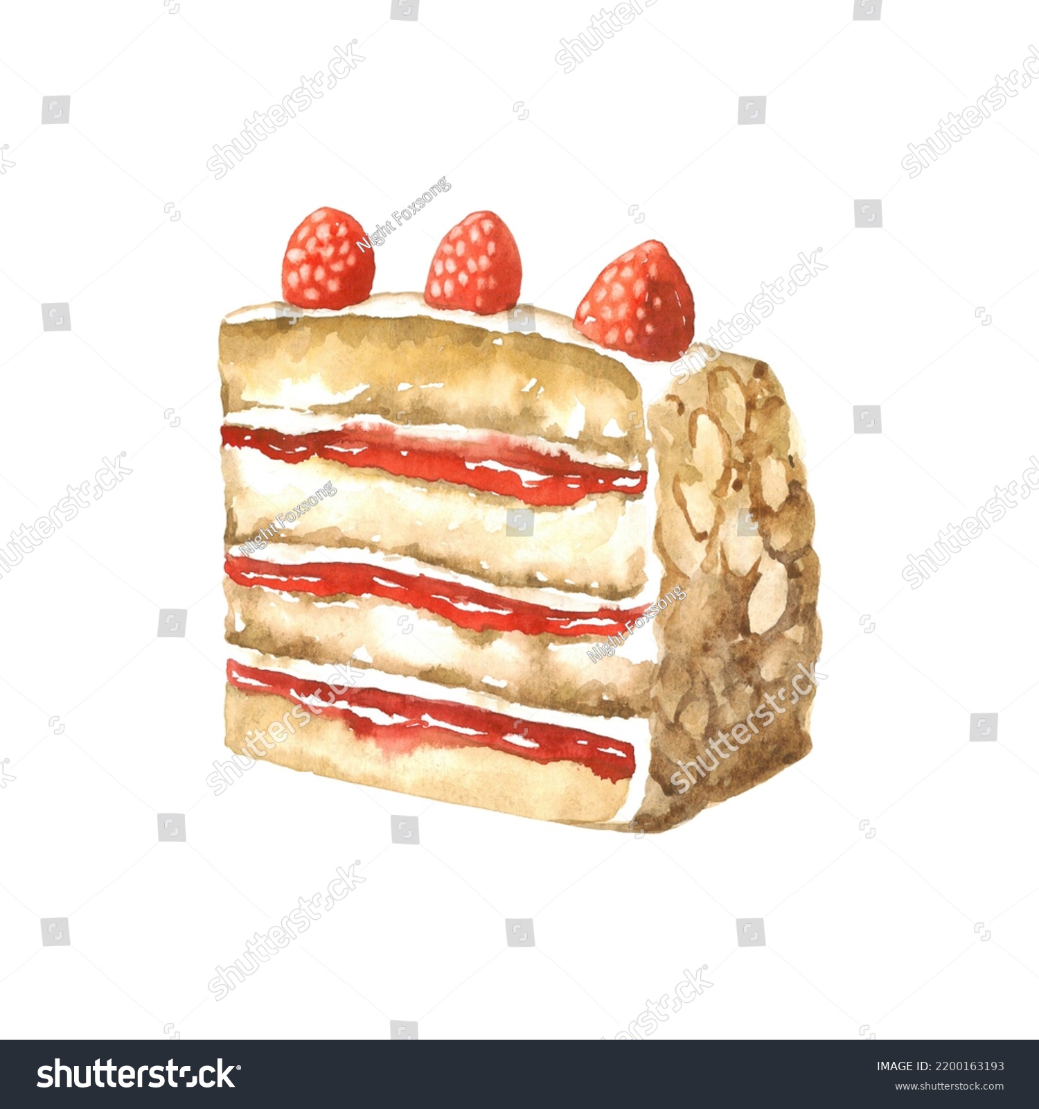 Watercolor Piece Delicious Raspberry Cake Illustration Stock ...