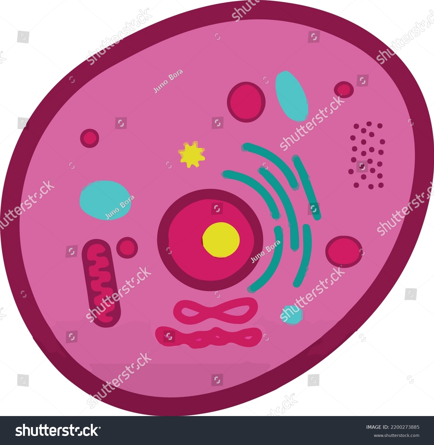 Organelles Cell Part Design Art Vector Stock Vector (Royalty Free ...