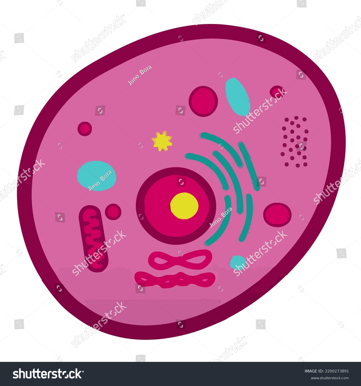 Organelles Cell Part Design Art Illustration Stock Illustration ...