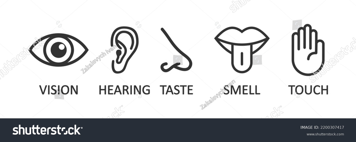 Human Sense Icons Organs Vision Hearing Stock Vector (Royalty Free ...