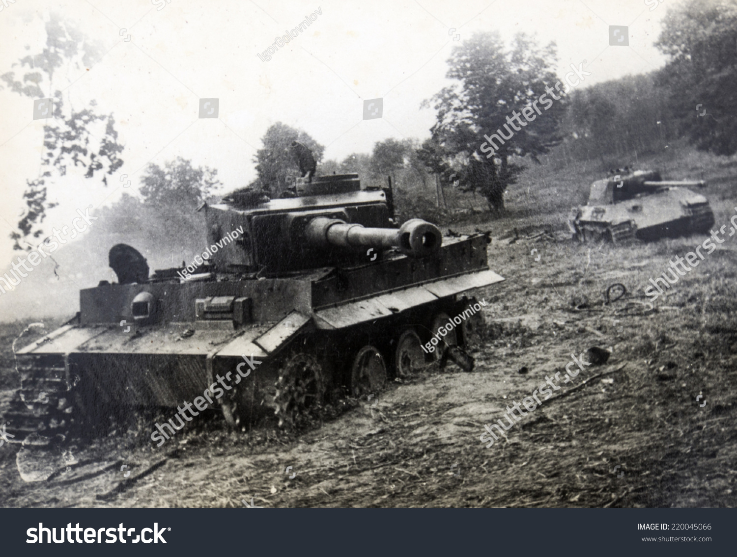 Germany Circa 1940s Tiger Ii Common Stock Photo 220045066 | Shutterstock