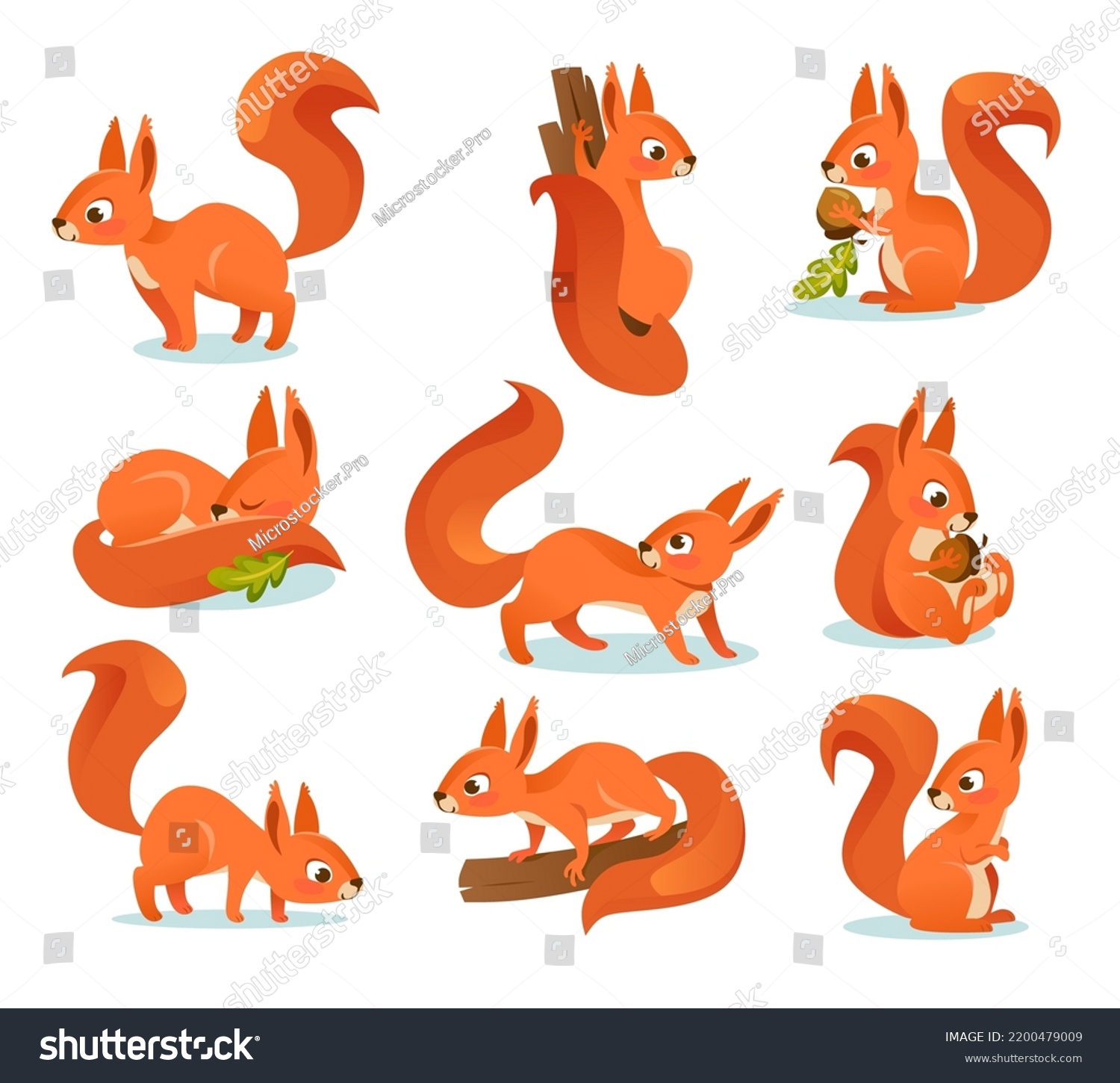 Funny Red Squirrels Character Set Collection Stock Vector (Royalty Free ...