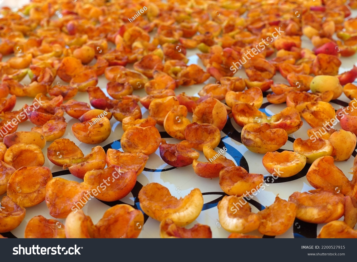 Closeup Apricot Drying Process Fruit Drying Stock Photo 2200527915