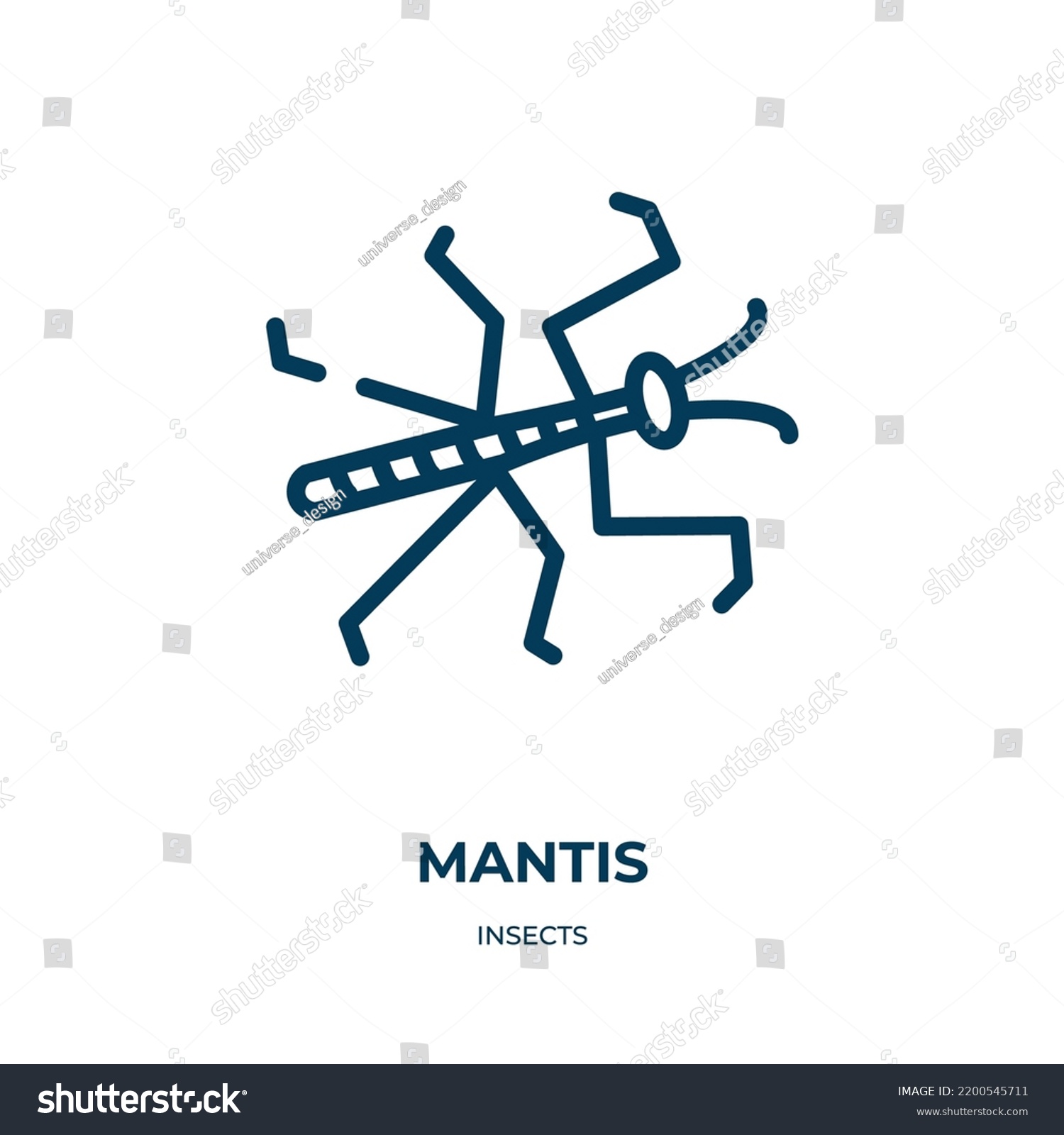 Mantis Icon Linear Vector Illustration Insects Stock Vector (Royalty ...