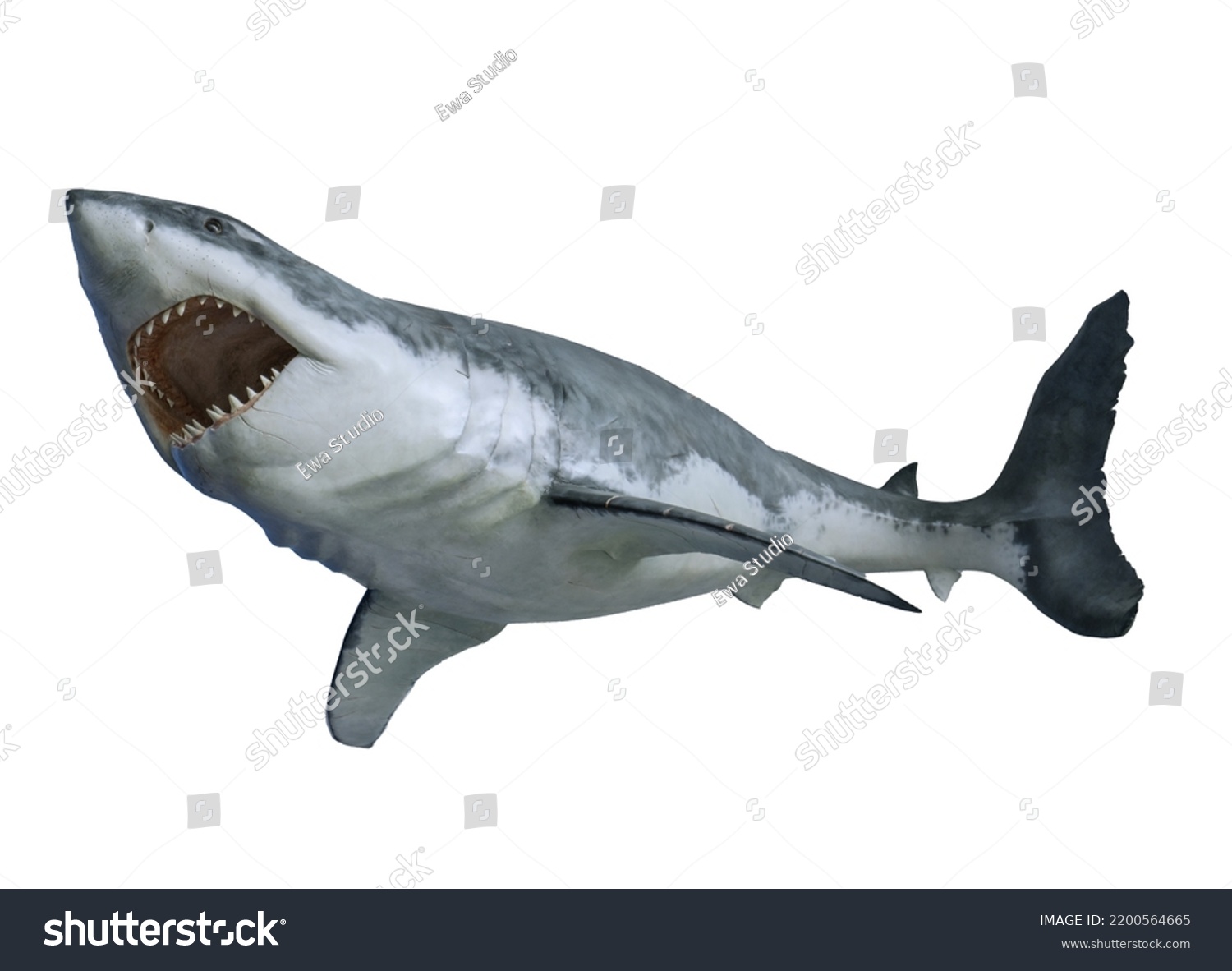 Shark Isolated On White Background Great Stock Photo 2200564665 