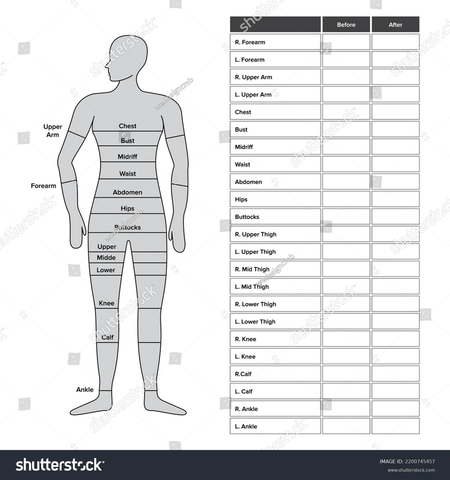 Body Measurement Guide Size Chart Stock Vector (Royalty Free ...