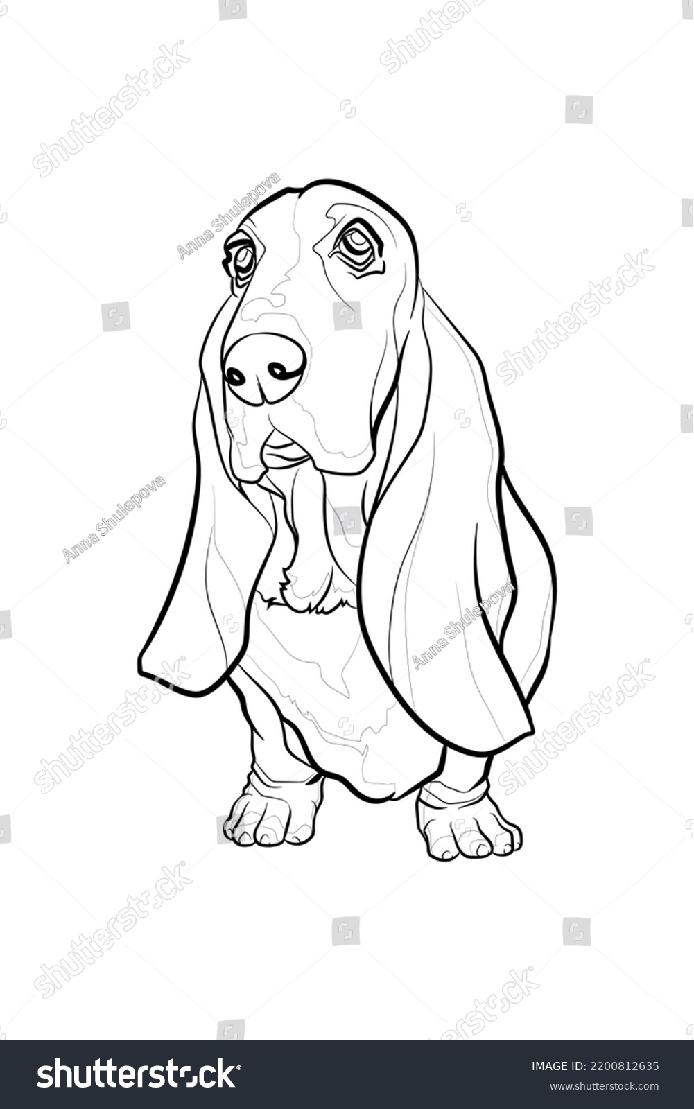 Black Outline Basset Hound On White Stock Vector (Royalty Free