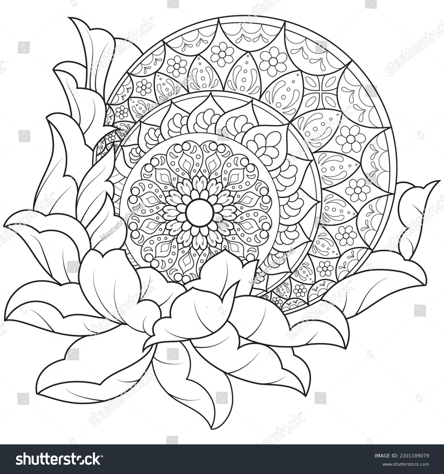 Mandala Flower Adult Coloring Bookmandala Flower Stock Vector (Royalty