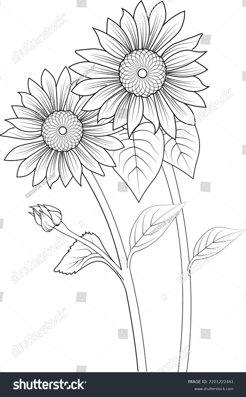 Sunflower Coloring Page Hand Drawn Botanical Stock Vector (Royalty Free ...